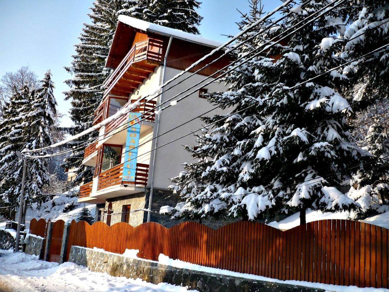 Pension Casa Soarelui Синая Екстериор снимка